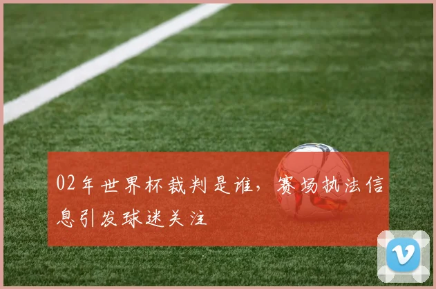 02年世界杯裁判是谁,赛场执法信息引发球迷关注