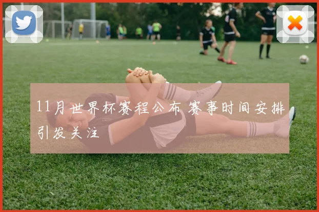 11月世界杯赛程公布 赛事时间安排引发关注
